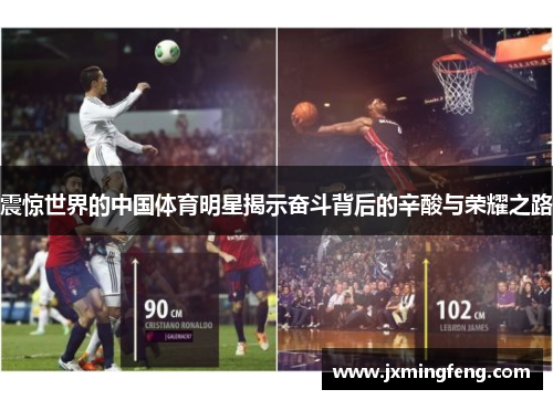 震惊世界的中国体育明星揭示奋斗背后的辛酸与荣耀之路